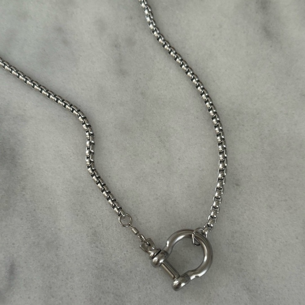 COPY - Silver Chunky Horse Bit Chain Necklace

Brand New